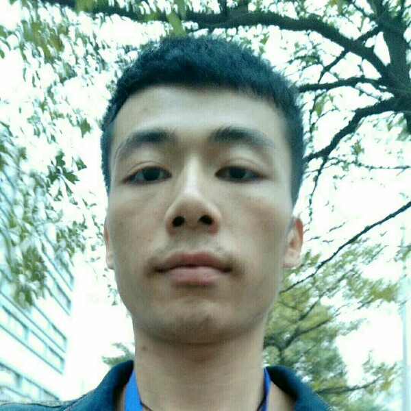 威尔图的照片