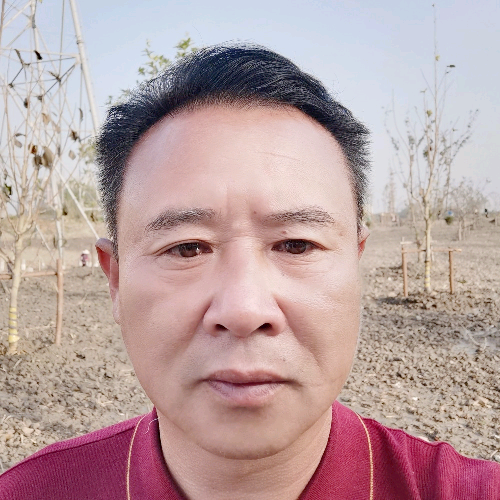翩飞漫步香菇的照片