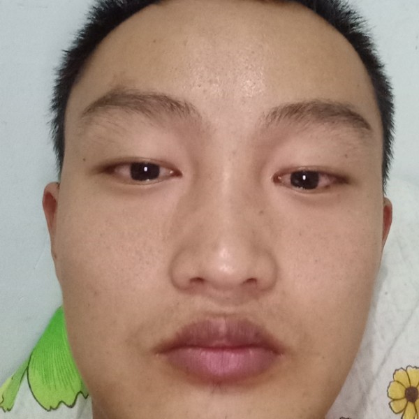 灯泡完美的照片