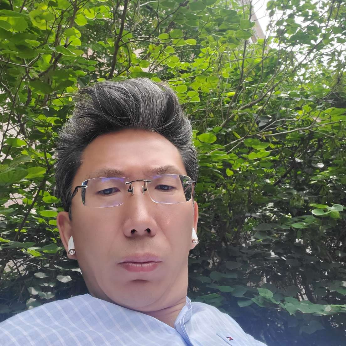 玉米相许沉静的照片