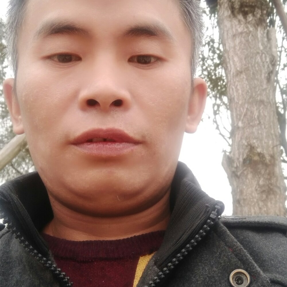 辛勤美女的照片