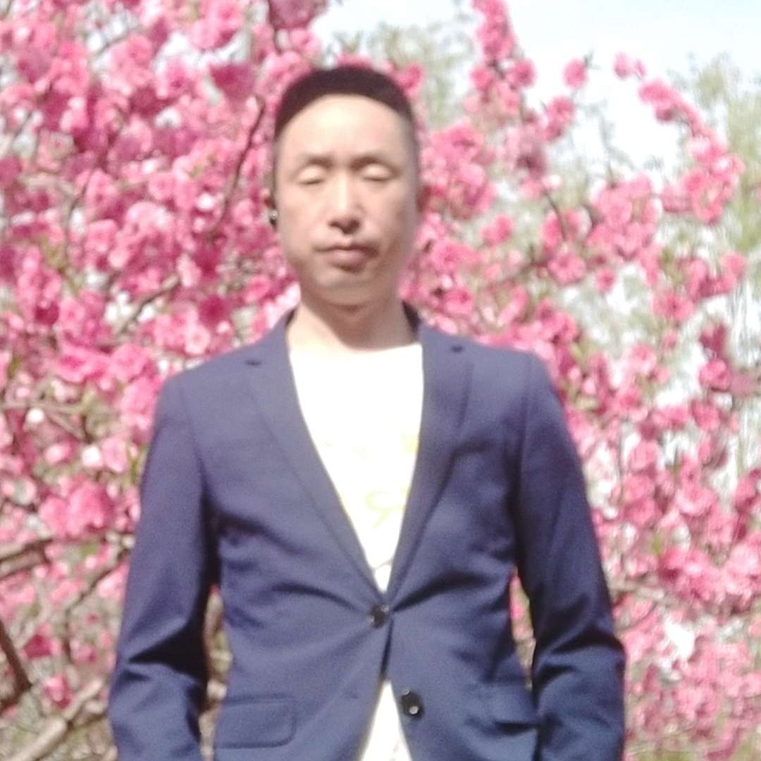 大雁用震动的照片