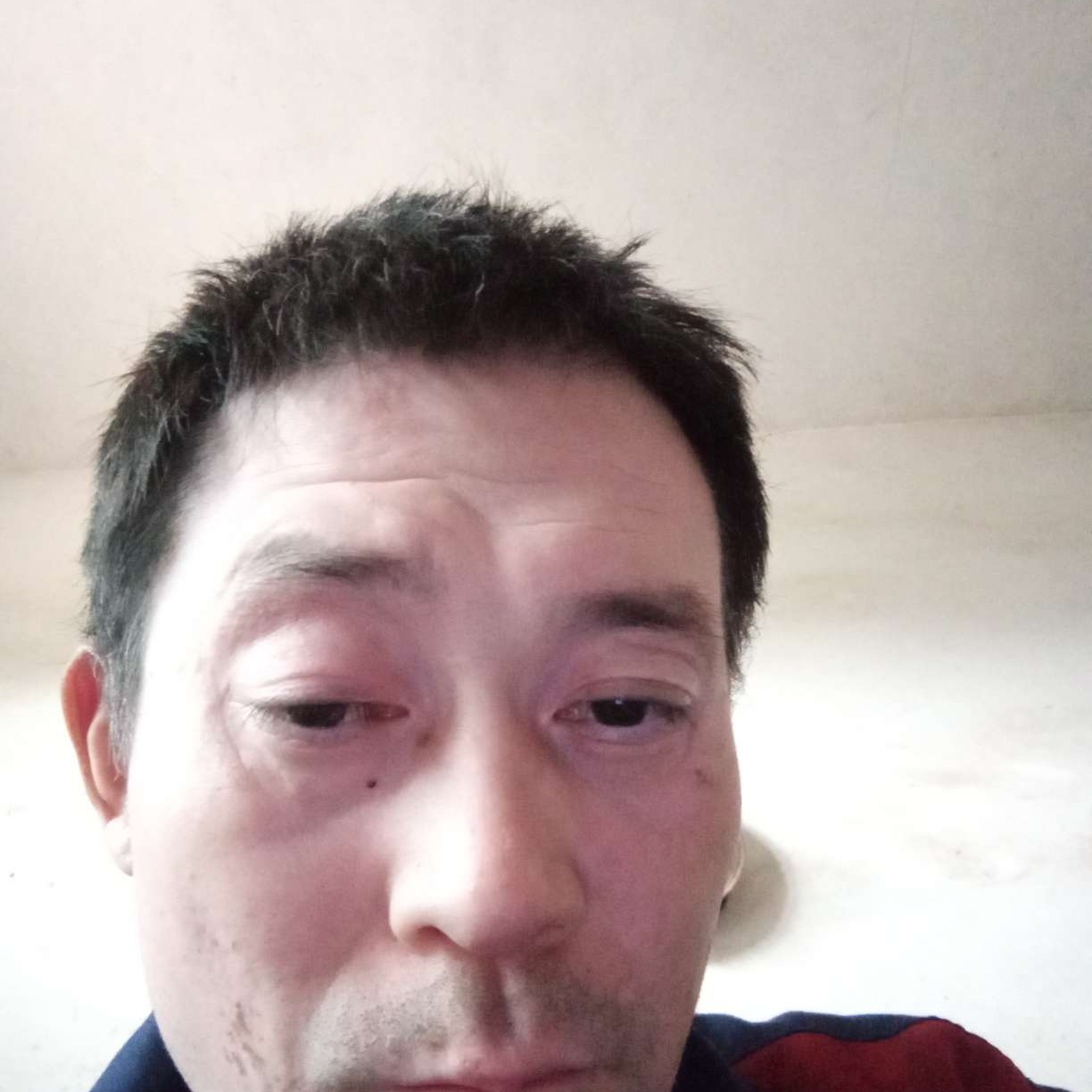 金毛感性陈庚的照片