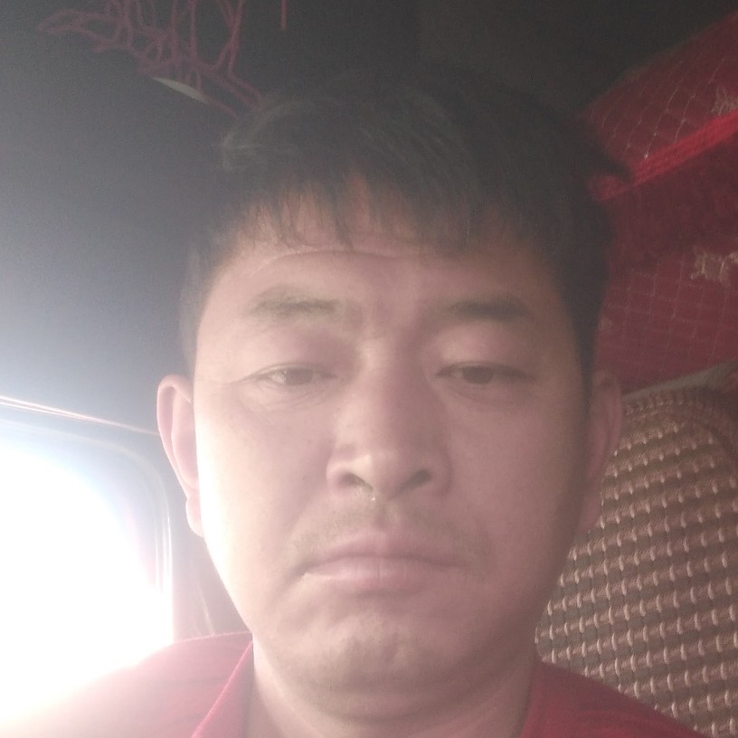 猫咪寂灭的照片
