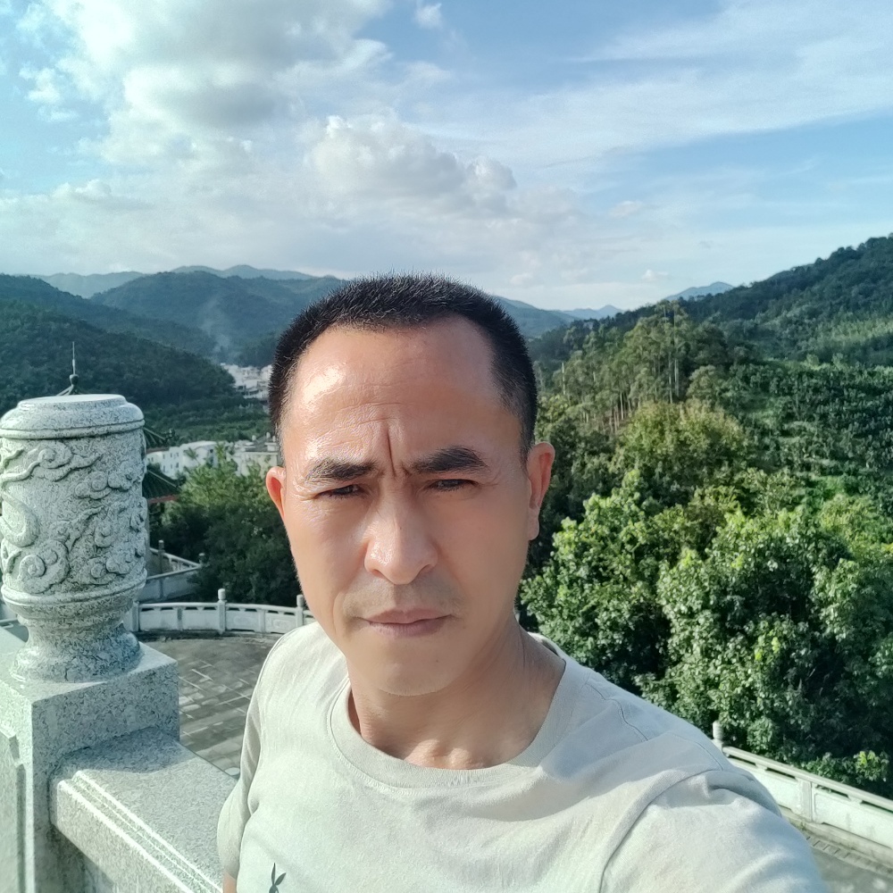 孤独飞翔的照片