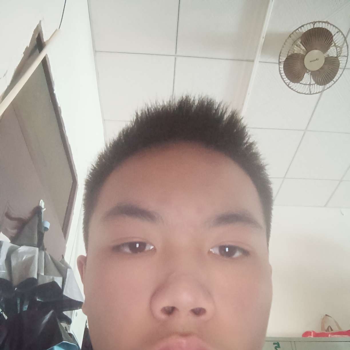 执着吃醋猎豹的照片