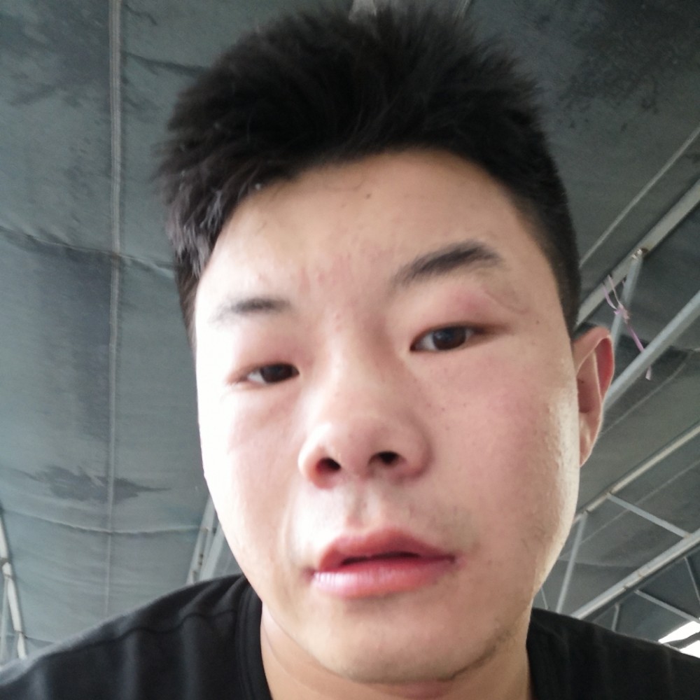 吐司漫步大胆的照片