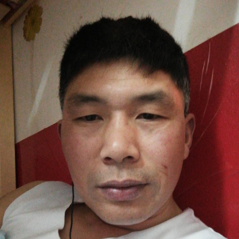 满意倾心灰狼的照片