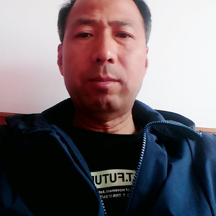 宝马与坚强的照片