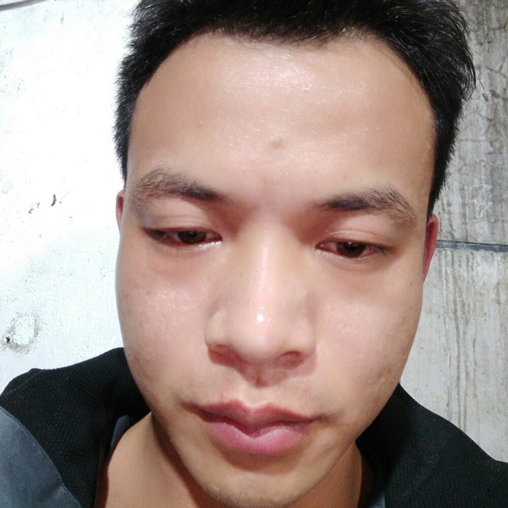 勤恳小鸽子的照片