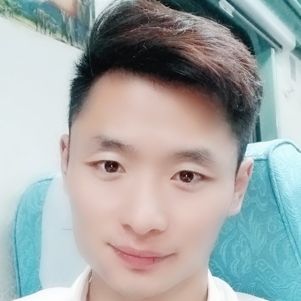 彩色蚂蚁11的照片