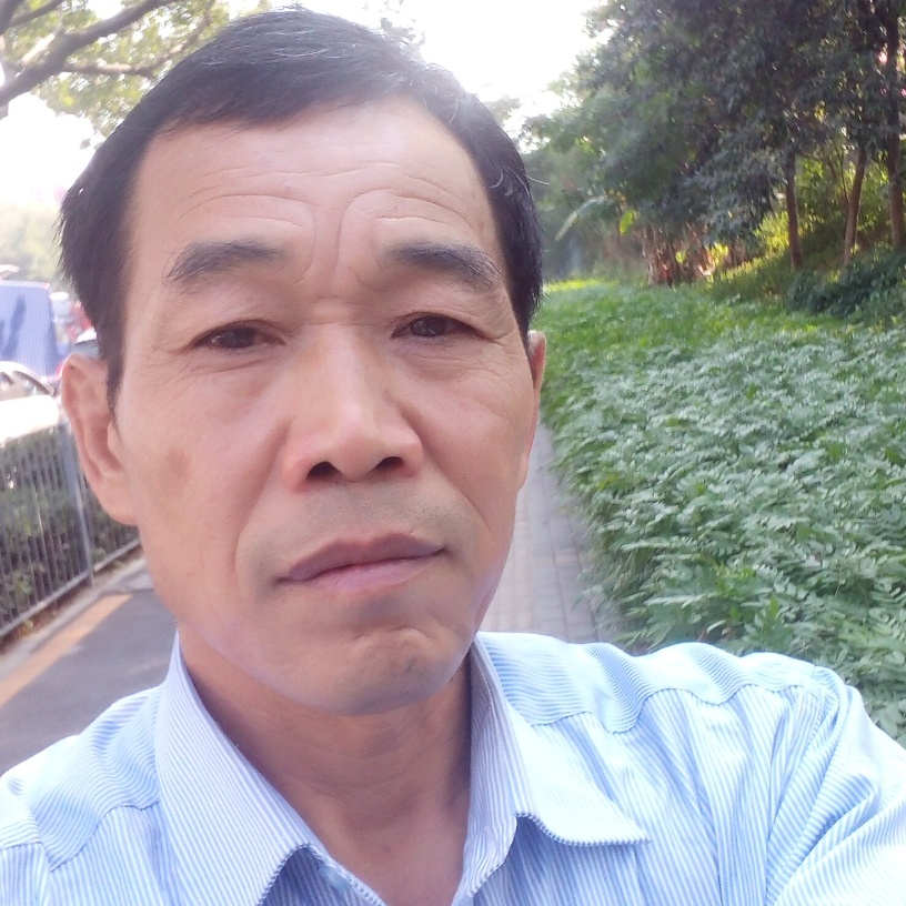 忧郁拾忆鸵鸟的照片
