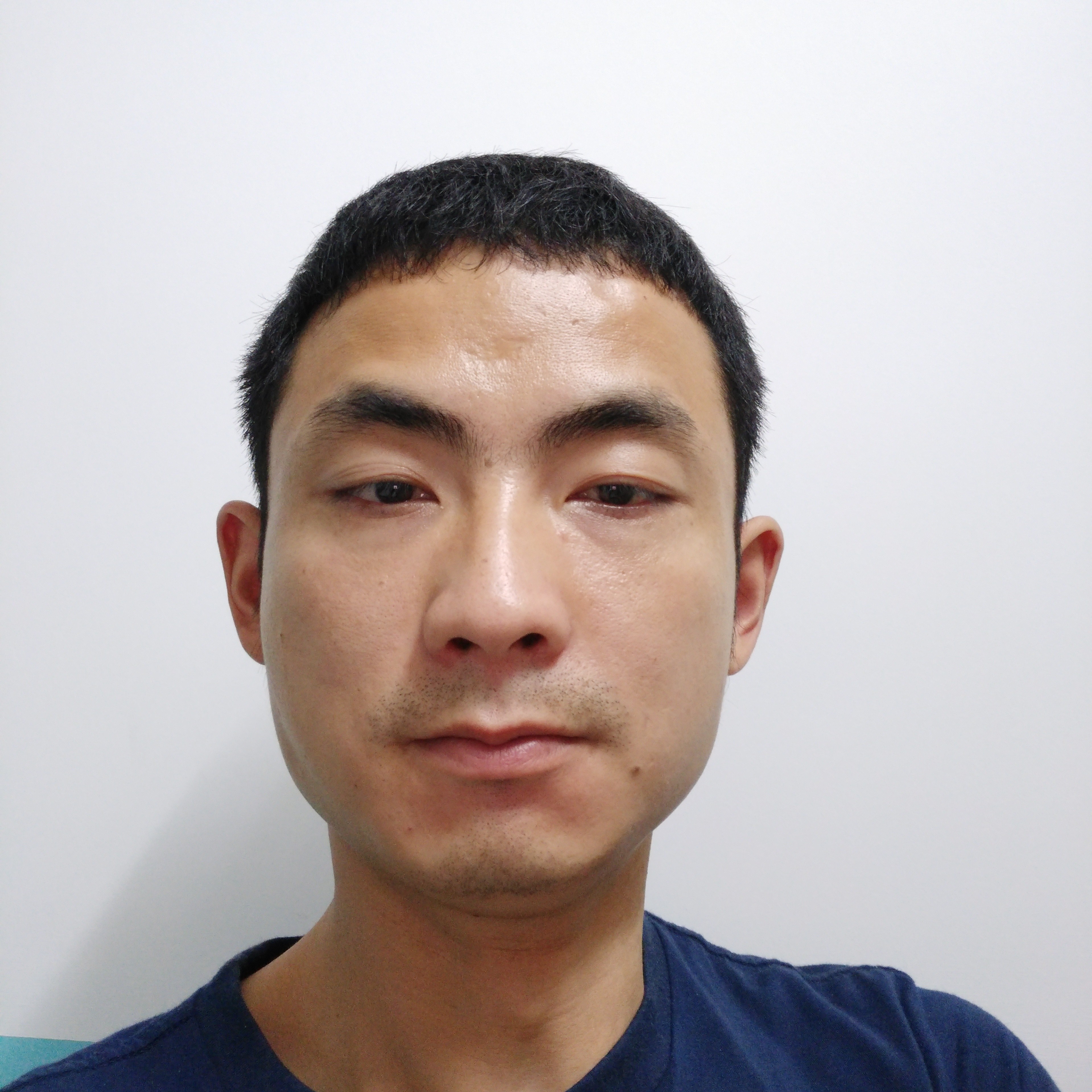 火龙果碧蓝3的照片