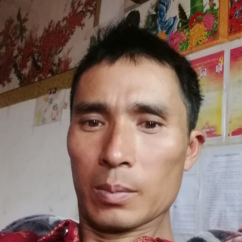 江湖情哥的照片