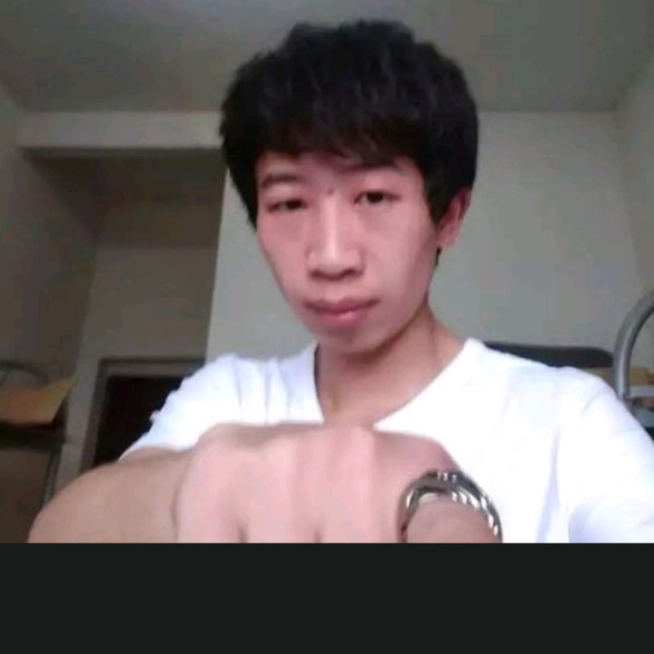 金毛和仁爱的照片