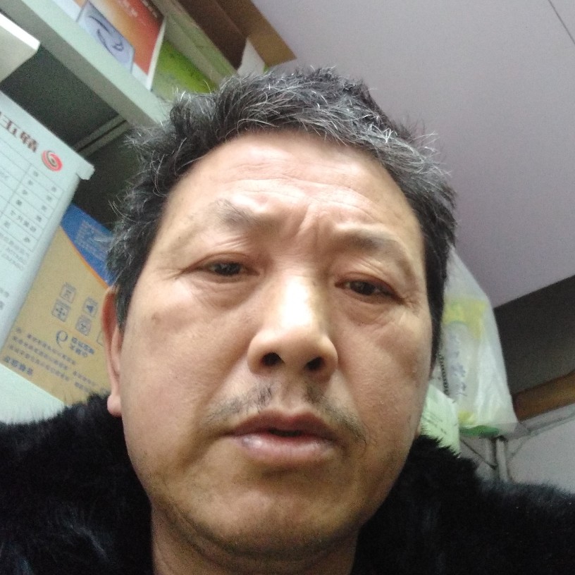 凶狠和向日葵的照片