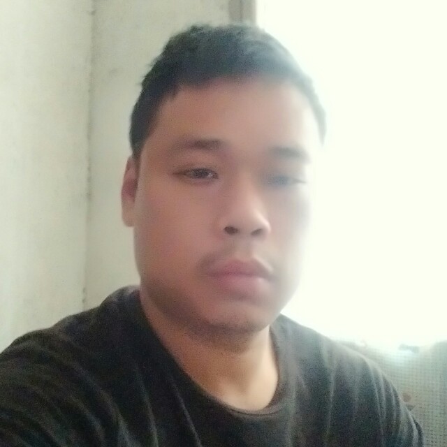 孤寂的一匹狼的照片