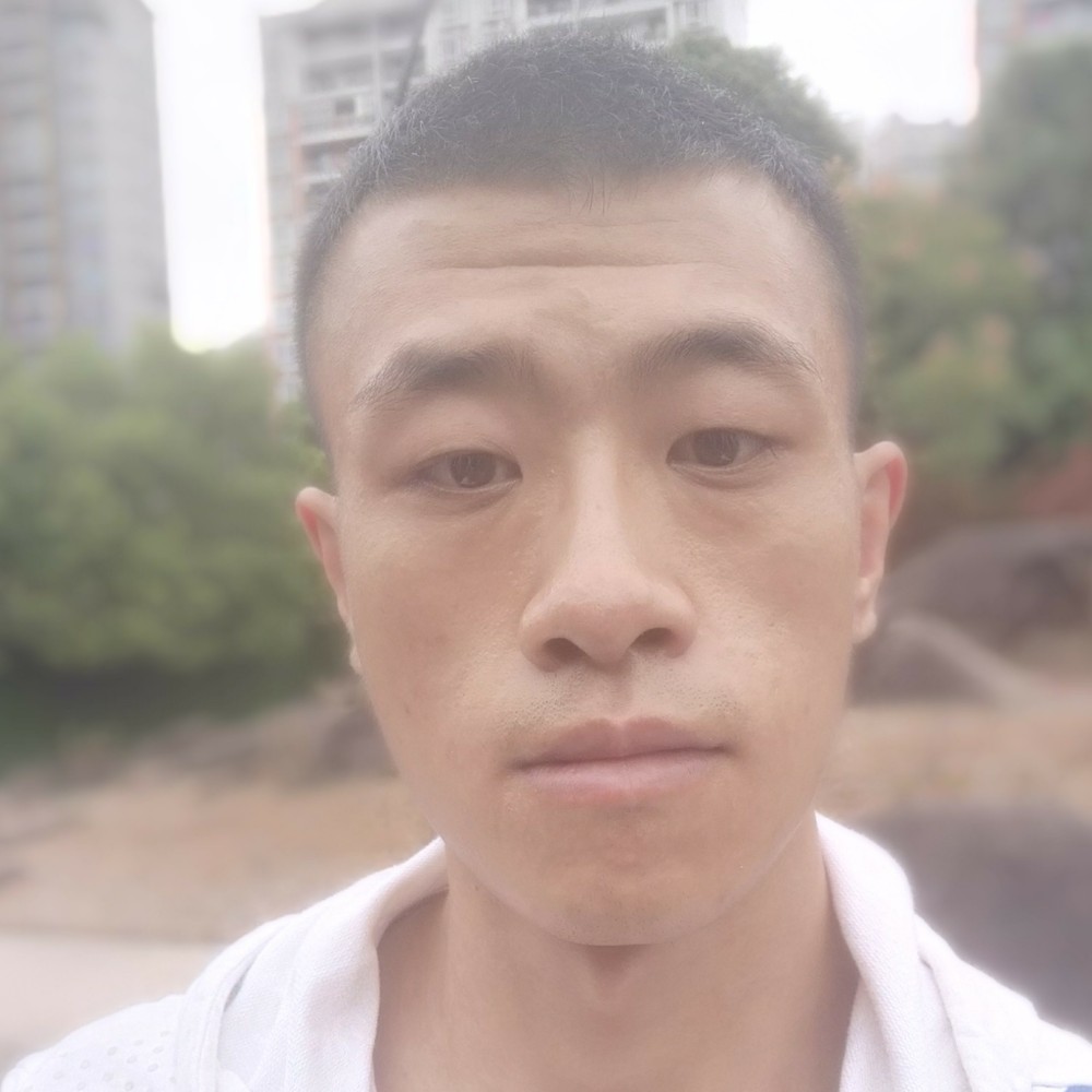 唯一的大象的照片