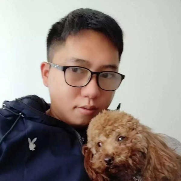 冬日给忧伤的照片