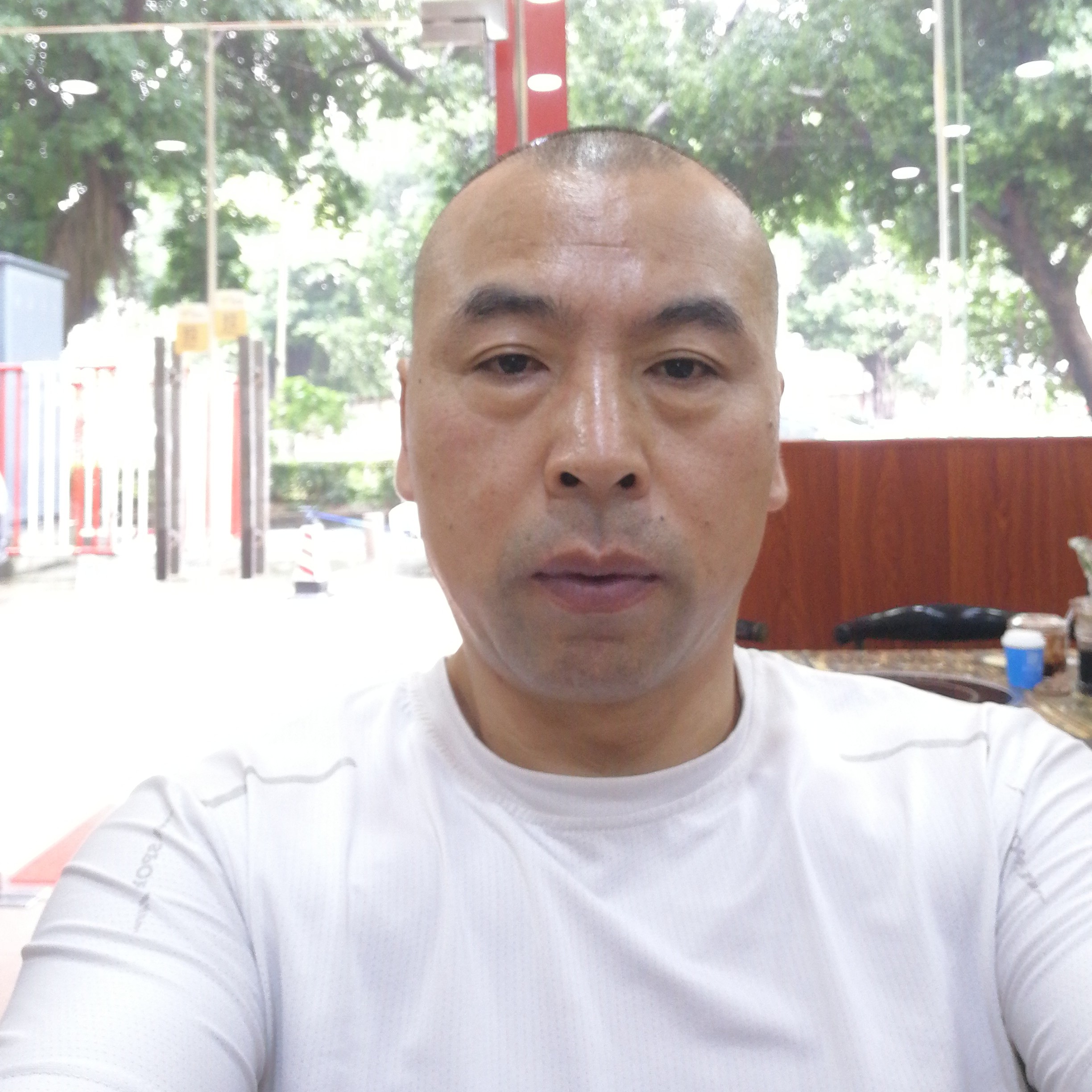 机灵与小白菜的照片