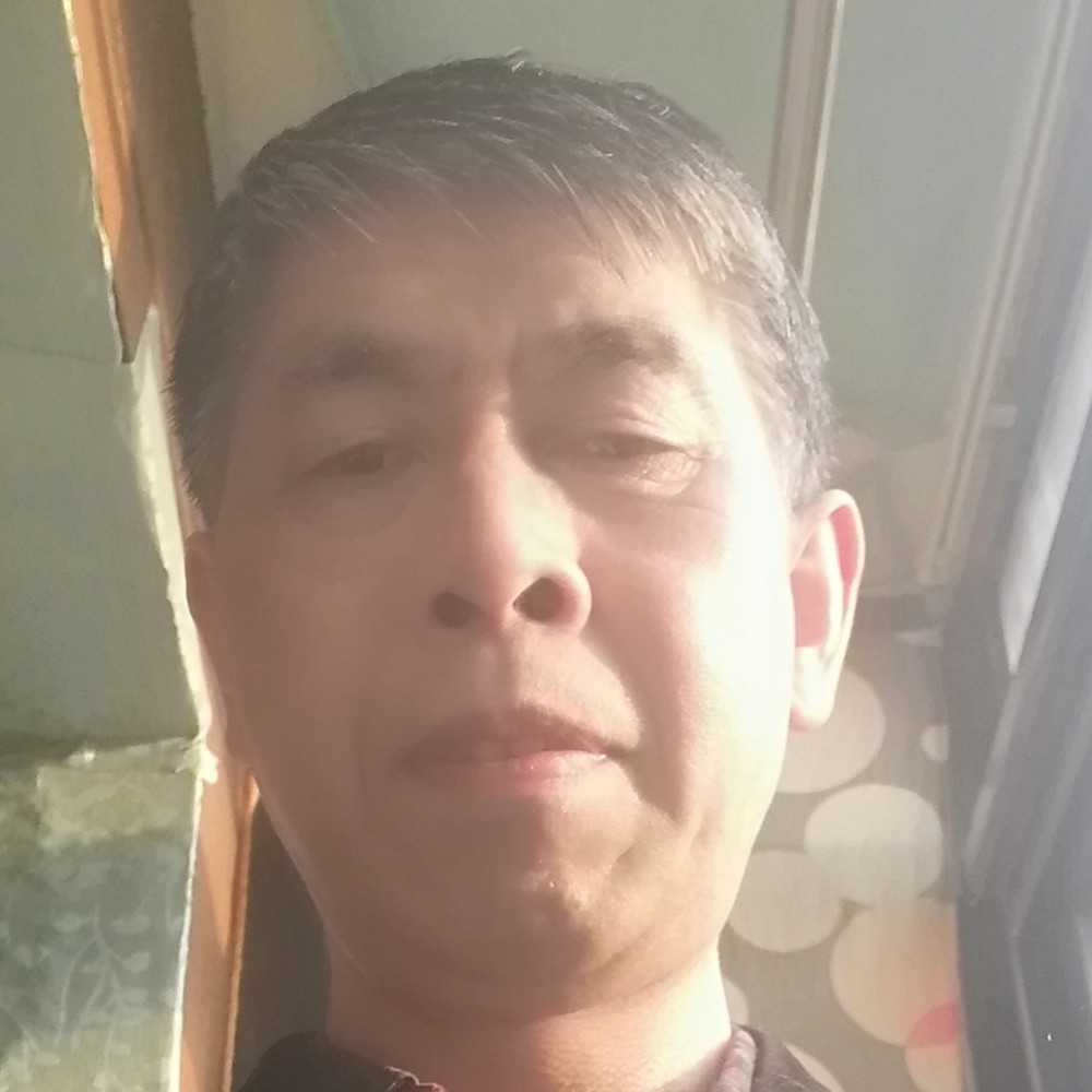 斑马端庄的照片