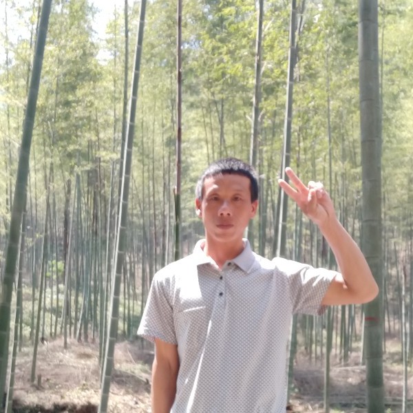 寻找伴侣一生一世的照片