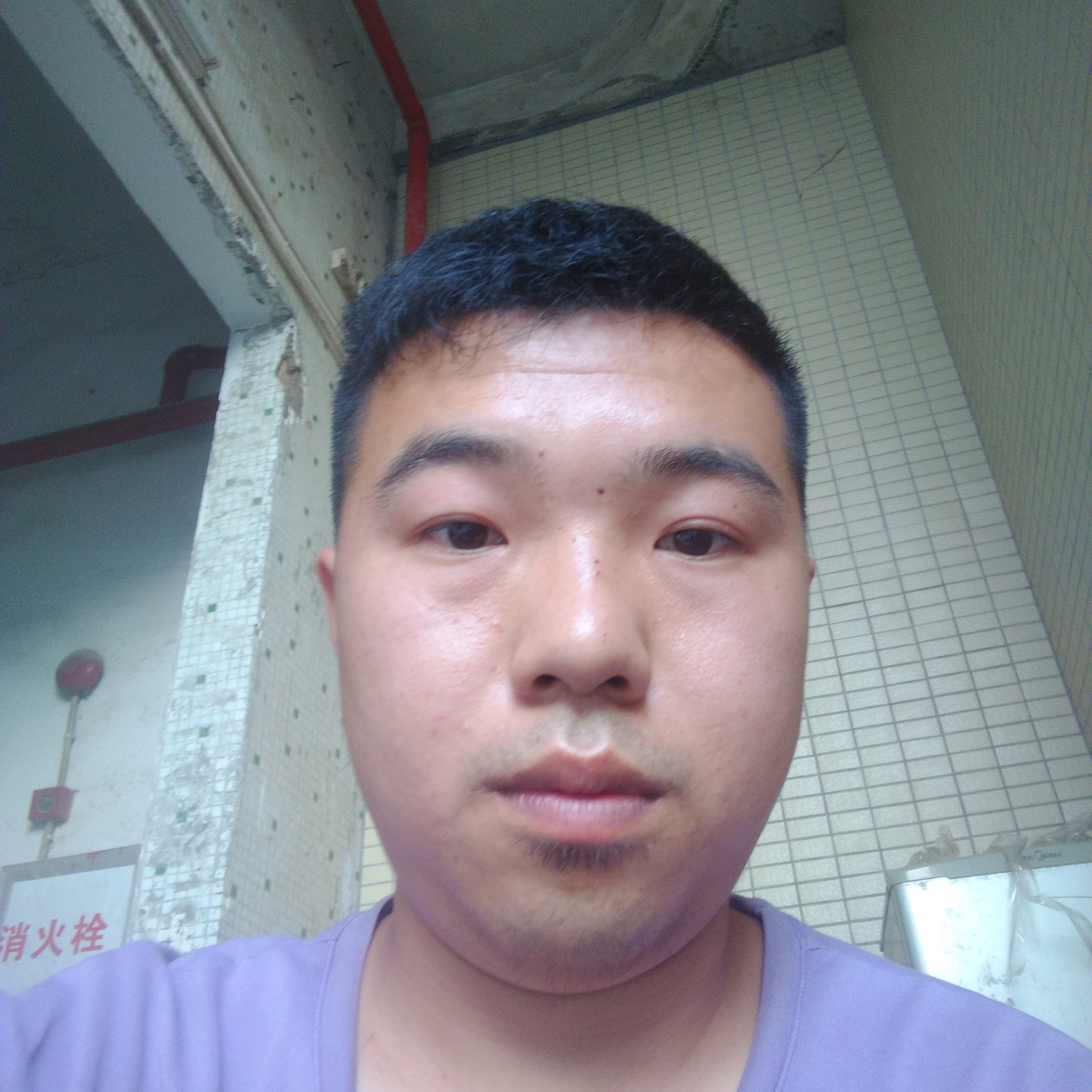 高大凝眸火的照片