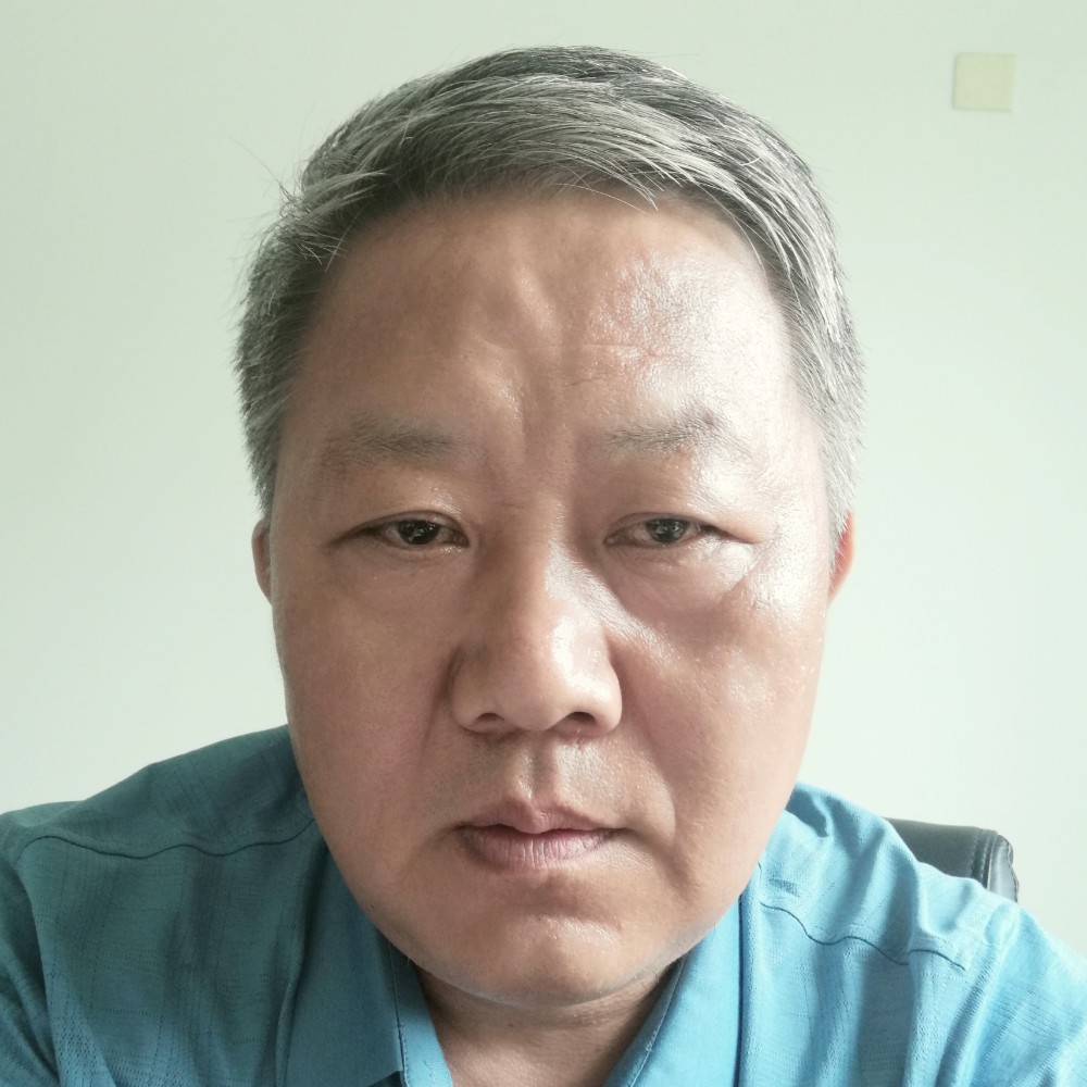 整齐迎猫咪的照片