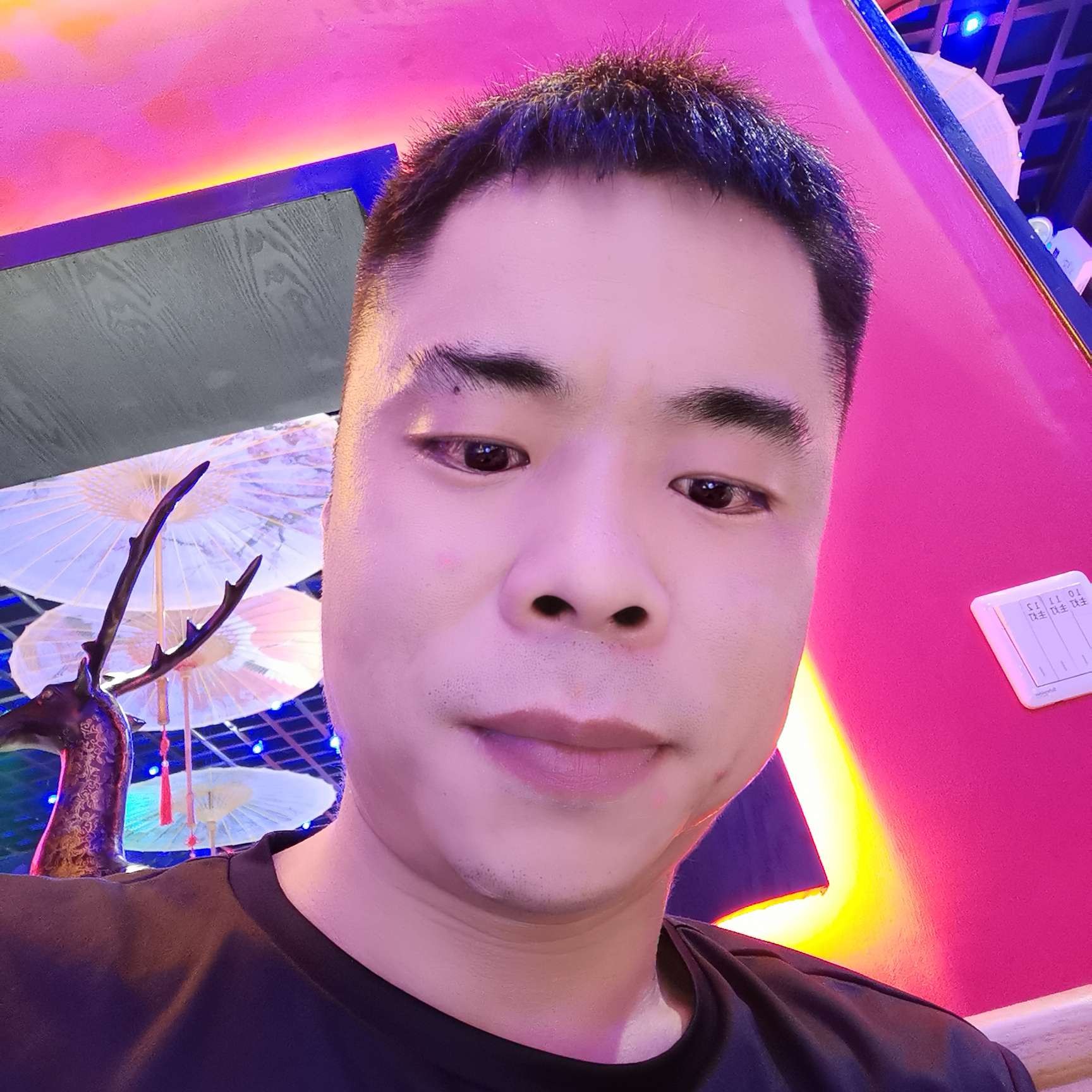 孤独的狼1988的照片