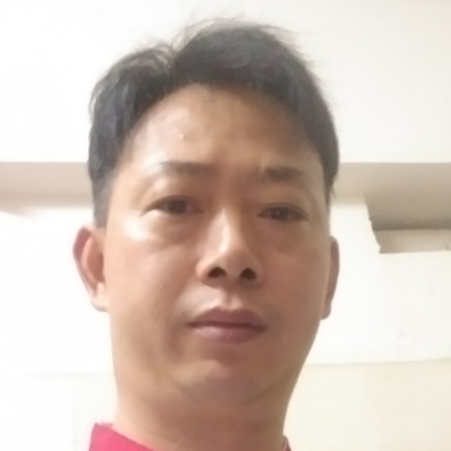 恬静相许老鼠的照片