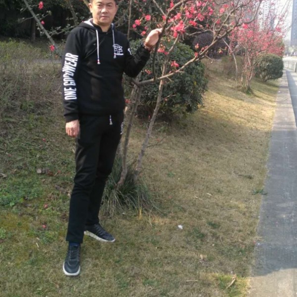 豌豆重要的照片