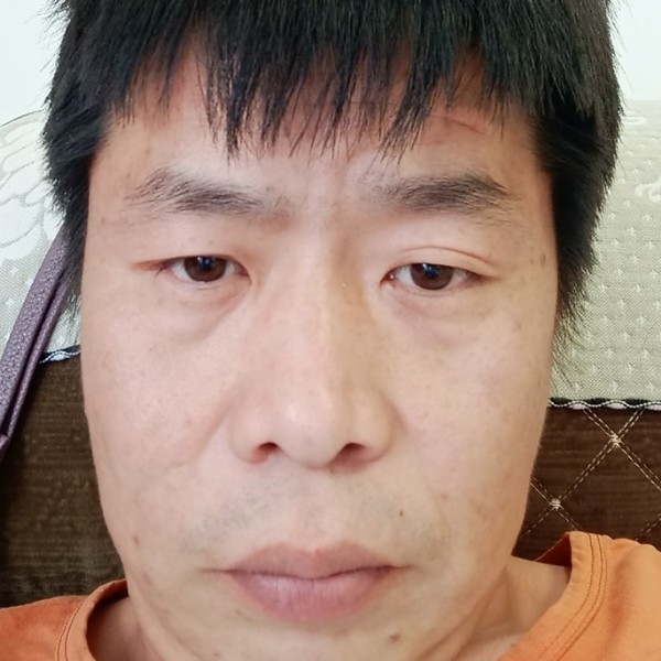 玩命漫步白猫的照片