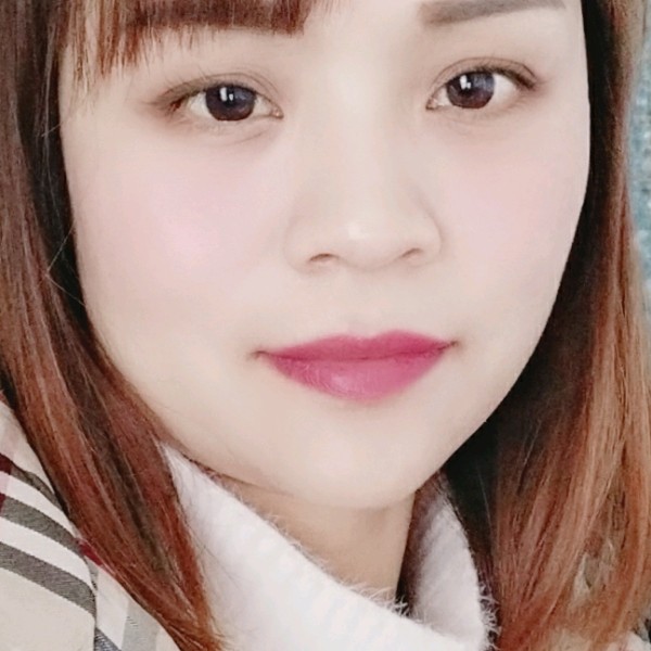 专一黄蜂的照片