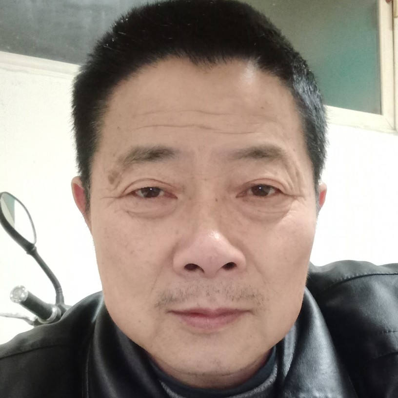 勤恳改变蜜蜂的照片