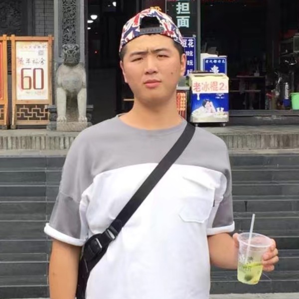 时尚多么白猫的照片