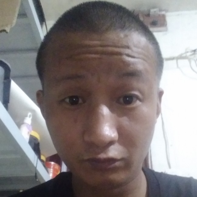 大象重要的照片