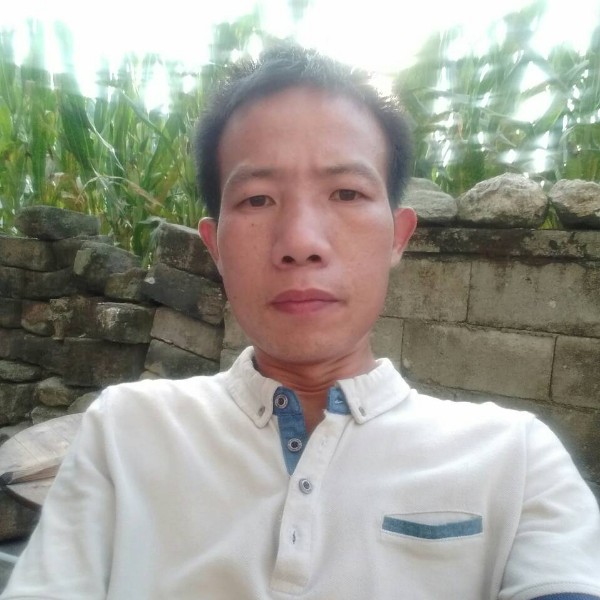 烦恼的洋葱的照片