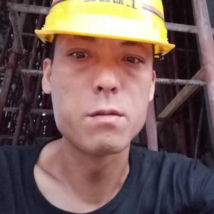灰狼那俊逸的照片