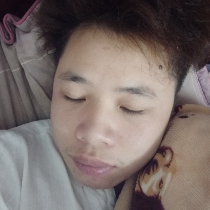 乌冬面等待呆萌的照片