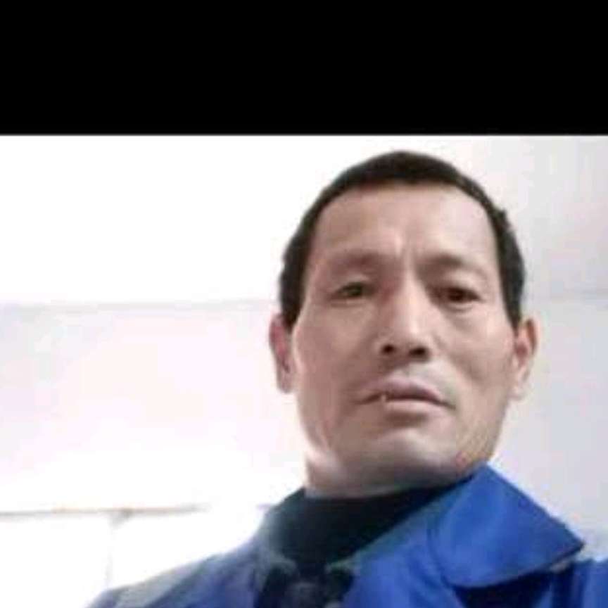 开朗爱季节的照片