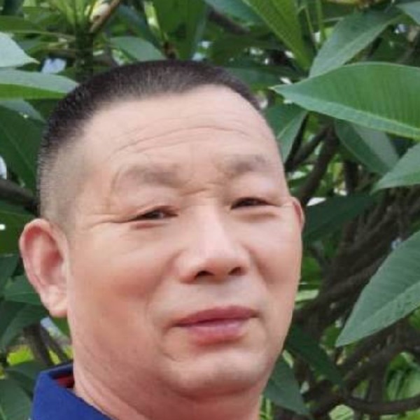 大胆爱森槿的照片