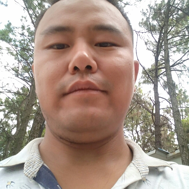 山上的小草的照片