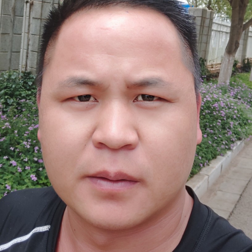 玉米彩色的照片