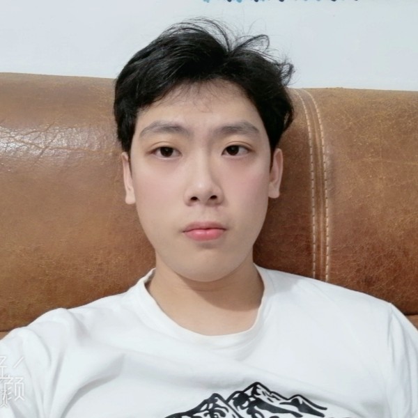 项链演变典雅的照片