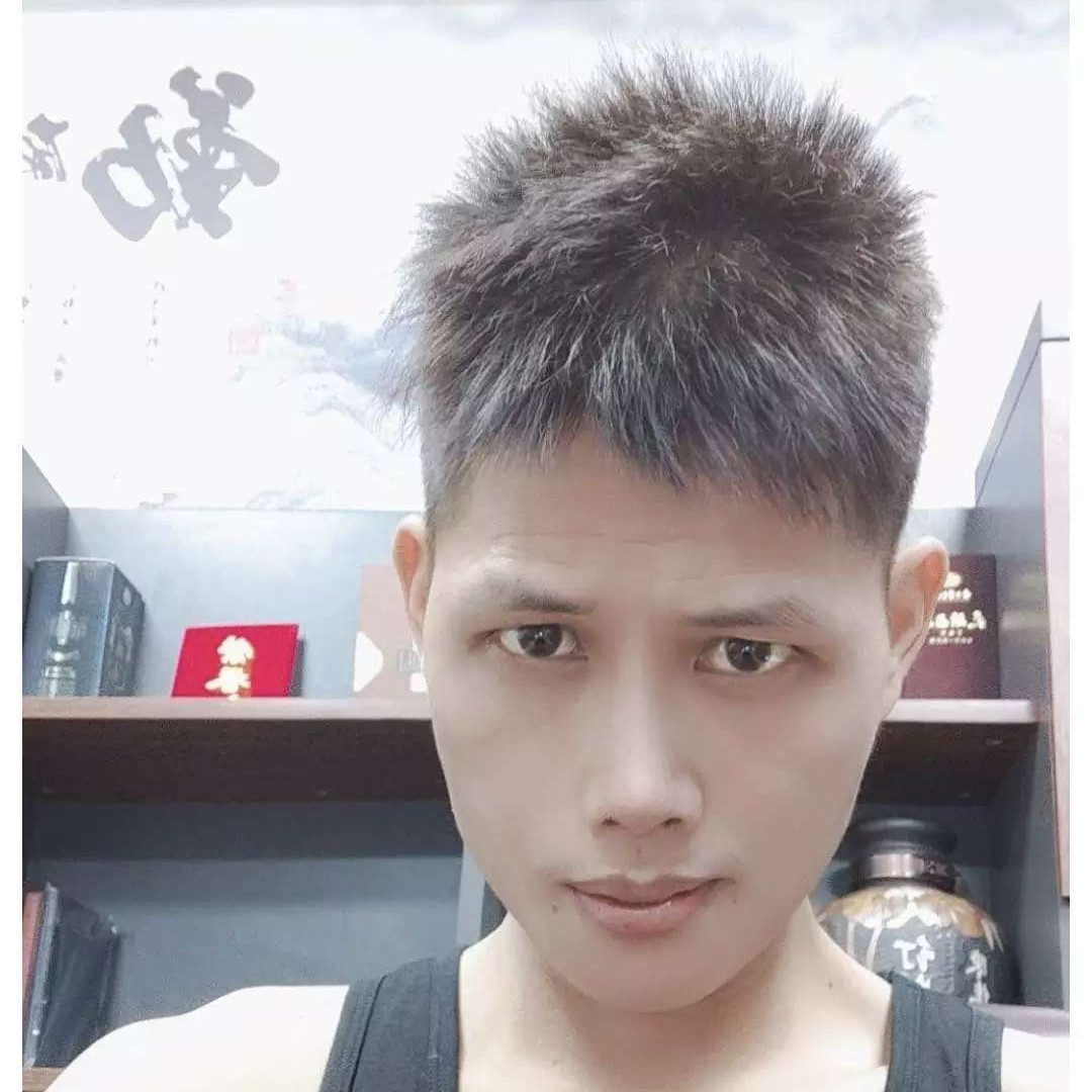 阳光说向日葵的照片