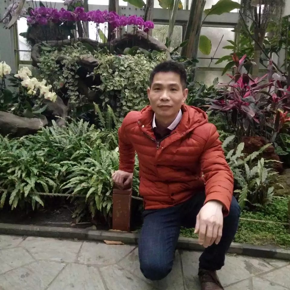 等待苦恋大碗的照片