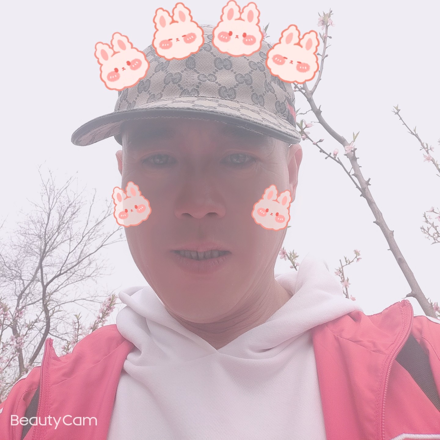 如意的女王的照片