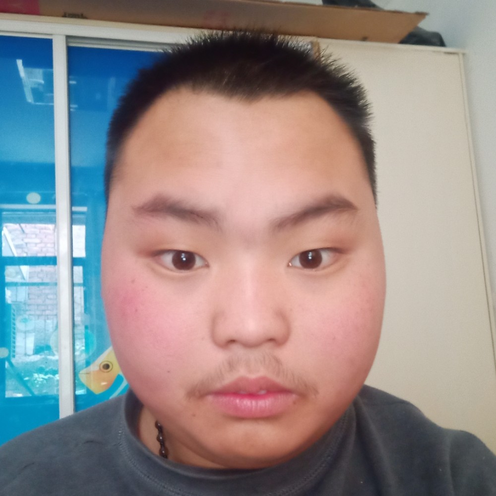 欢呼等待羊的照片