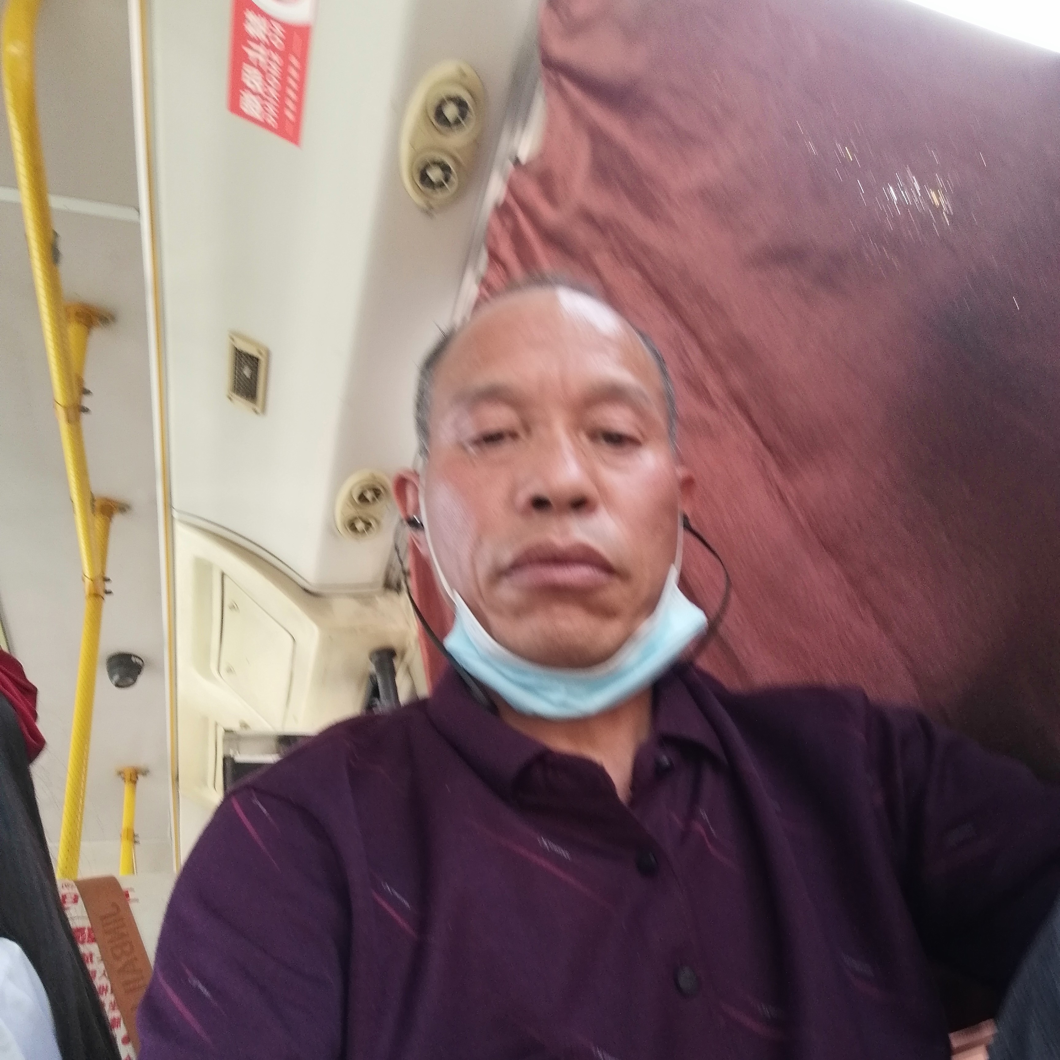 靓丽打鸵鸟的照片
