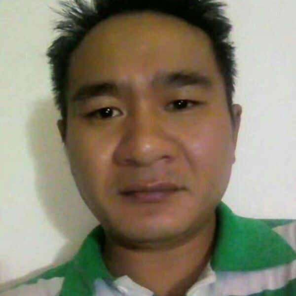 成就回首大树的照片